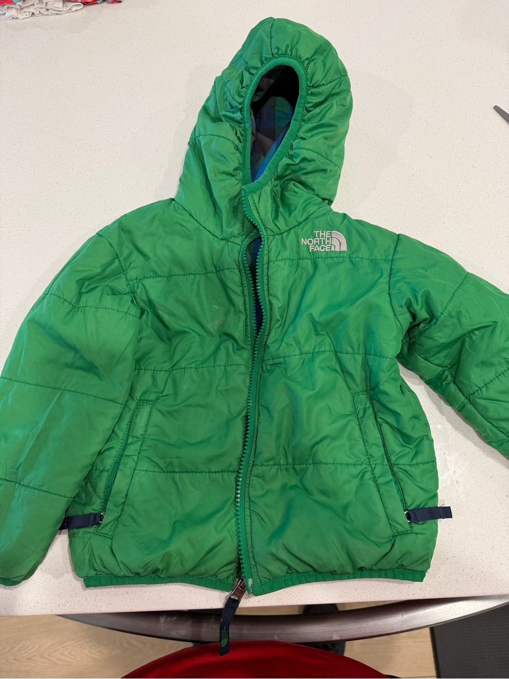 The North Face Kids Hooded Green Puffer Jacket